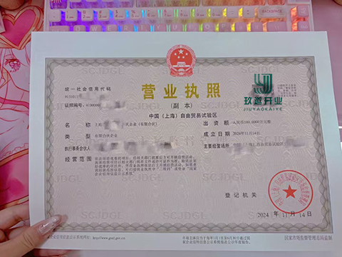 上海注冊(cè)有限合伙企業(yè)優(yōu)勢(shì)總結(jié)