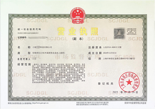 上海公司注冊(cè)全攻略:流程、條件與常見(jiàn)坑點(diǎn)詳解